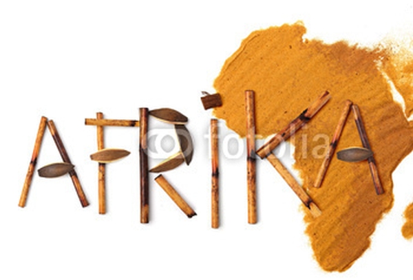 Article : La guerre, cette autre malédiction africaine